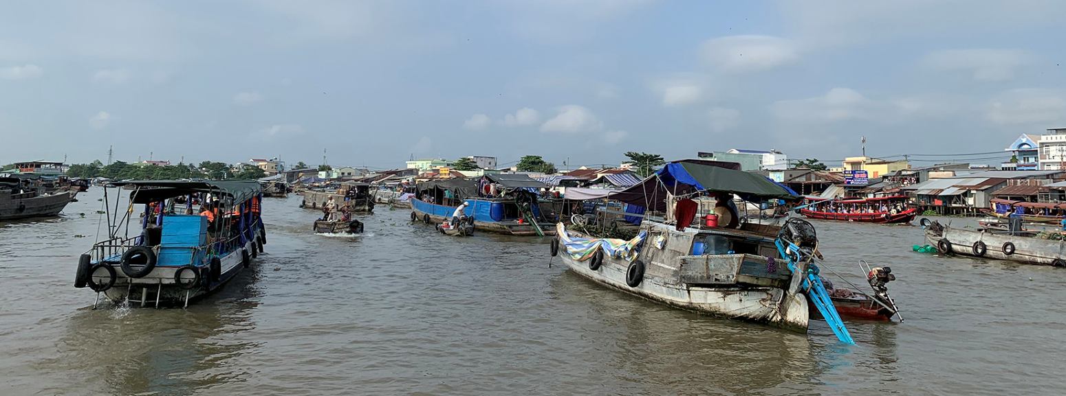 Mekong Delta Tours